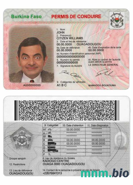 Szablon prawa jazdy Burkina Faso w formacie PSD, ze wszystkimi czcionkami